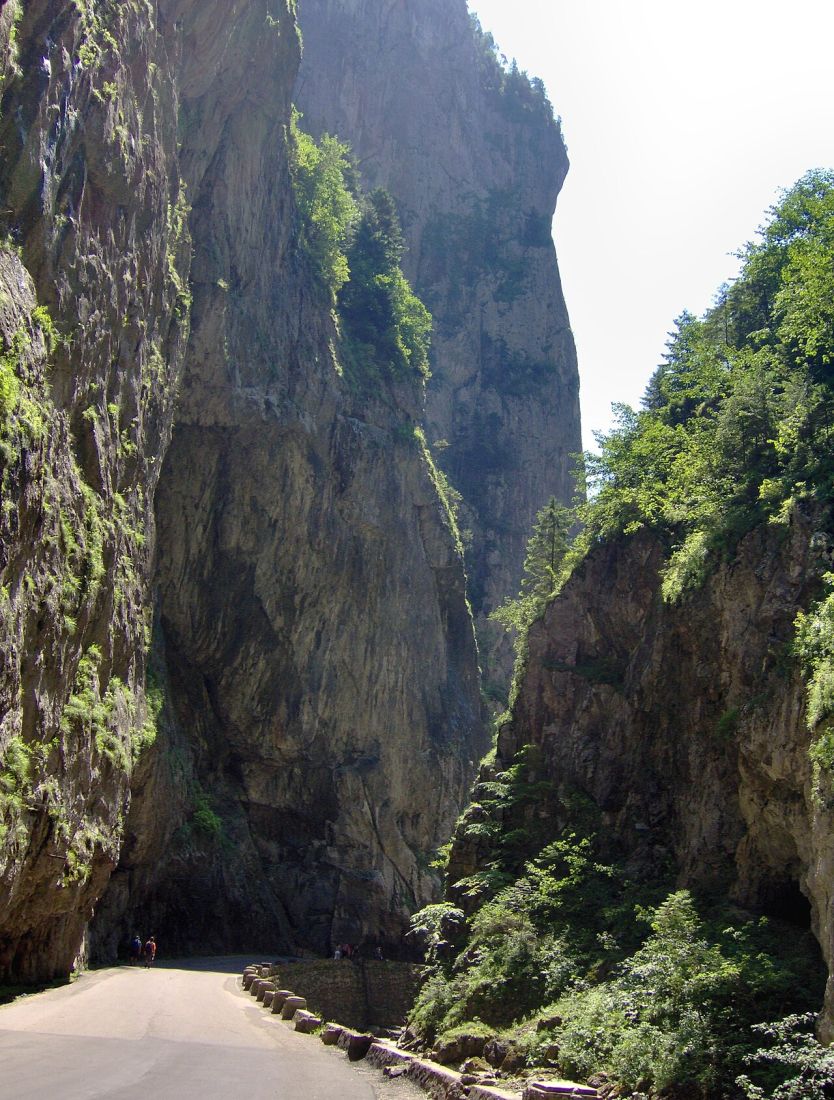 Neamț